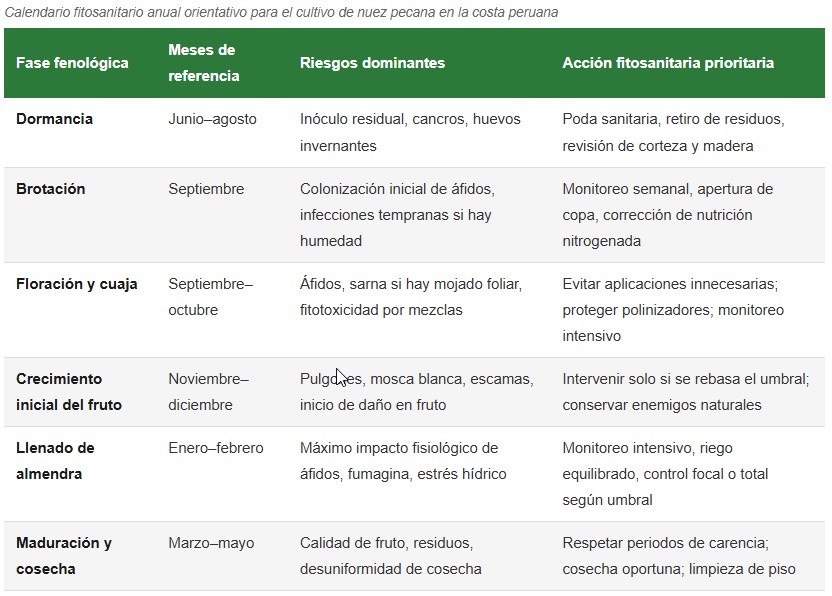 nuez pecana