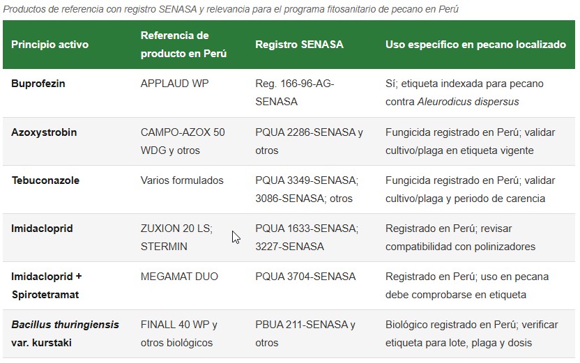 nuez pecana