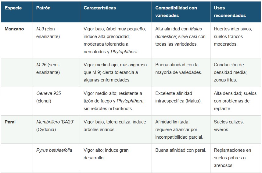 portainjertos frutales
