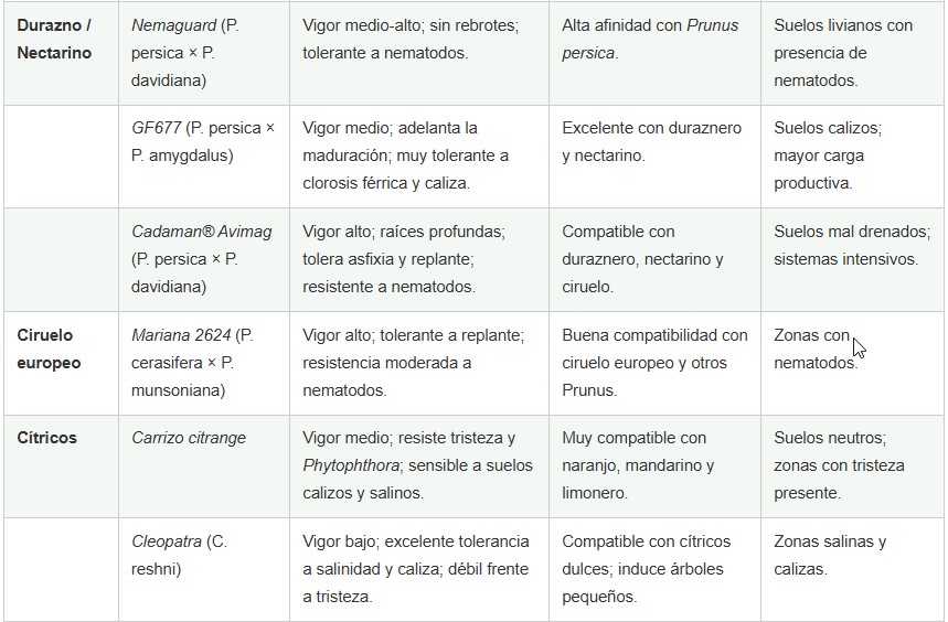 portainjertos frutales