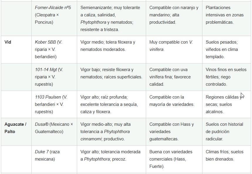 portainjertos frutales