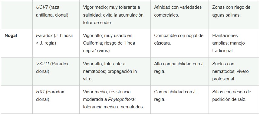 portainjertos frutales