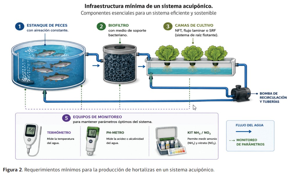 acuiponía