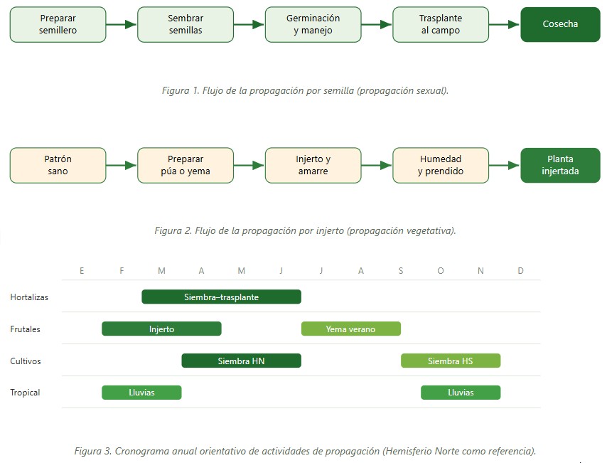 propagación