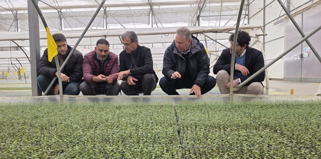 Vitácea-Hijuelas avanza en Brasil con transferencia tecnológica y genética de alto valor para la fruticultura