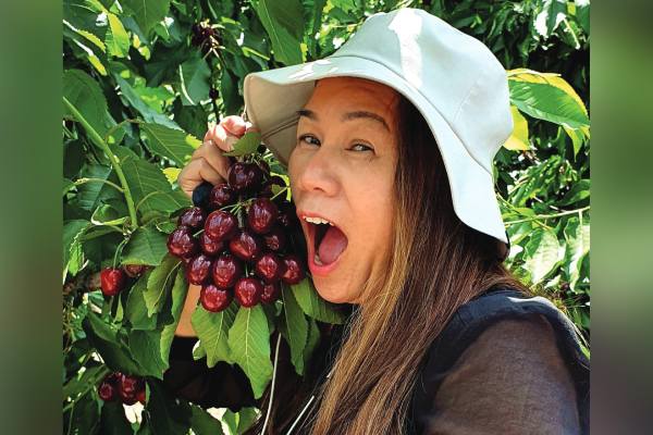 Sin problemas climáticos Canadá se prepara para una gran cosecha de cerezas en 2026 5 Sin problemas climáticos en el Gran Norte Blanco: Canadá se prepara para una gran cosecha de cerezas en 2026