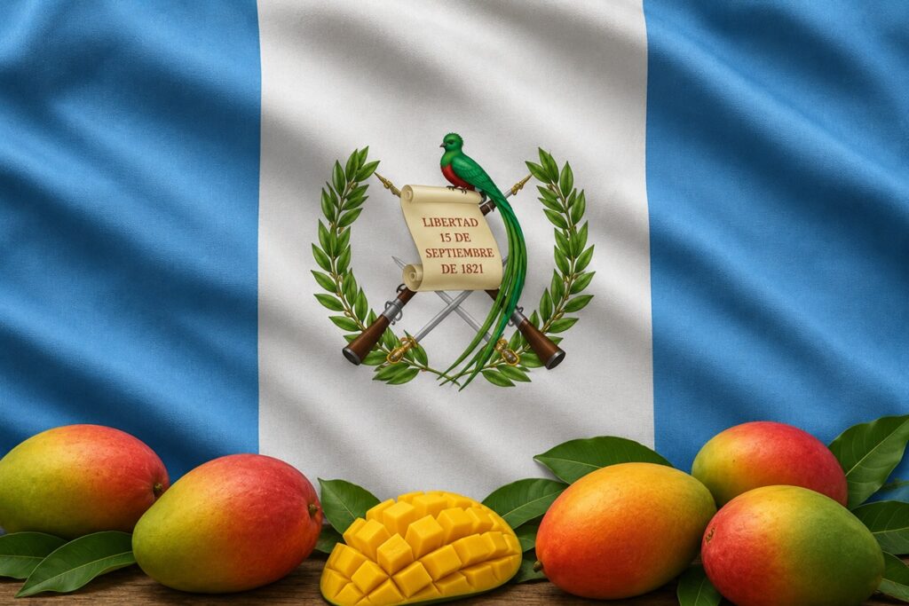 Guatemala aspira a liderar América con la exportación de mango libre de mosca de la fruta