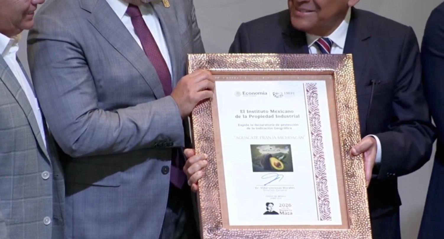 México celebra un hito: Aguacate Franja Michoacán obtiene Indicación Geográfica y fortalece su presencia internacional 3 franja aguacate michoacan