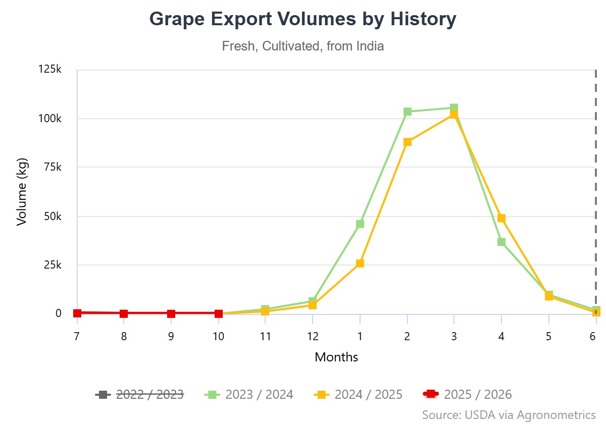 Cómo el monzón 2025/26 redefinió la temporada de uvas de mesa en India