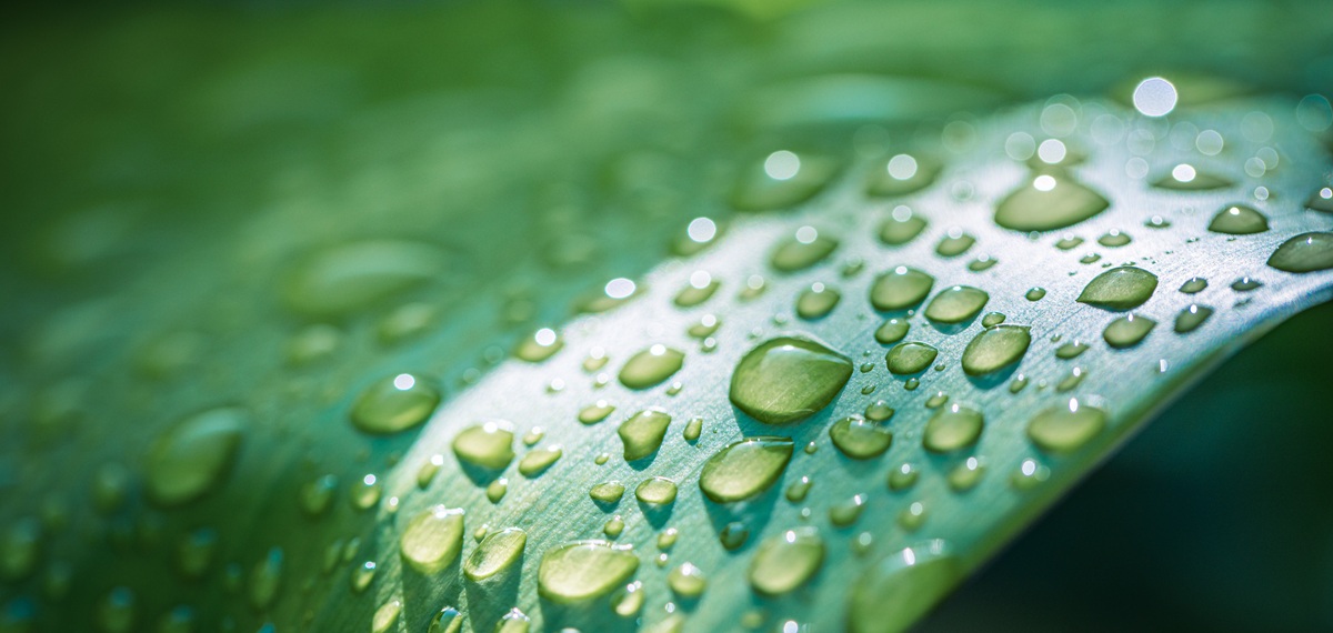 Lluvias y heladas marcarán la semana en la zona central de Chile: experto advierte efectos en cultivos hortícolas 3 Lluvias y heladas marcarán la semana en la zona central de Chile: experto advierte efectos en cultivos hortícolas