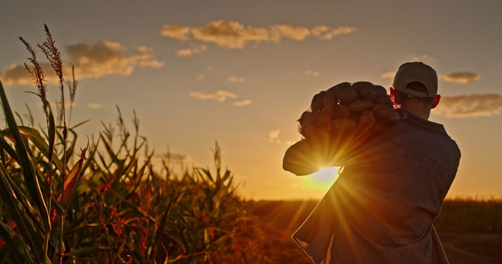 Cierre de temporada y despidos: errores que las empresas agrícolas deben evitar