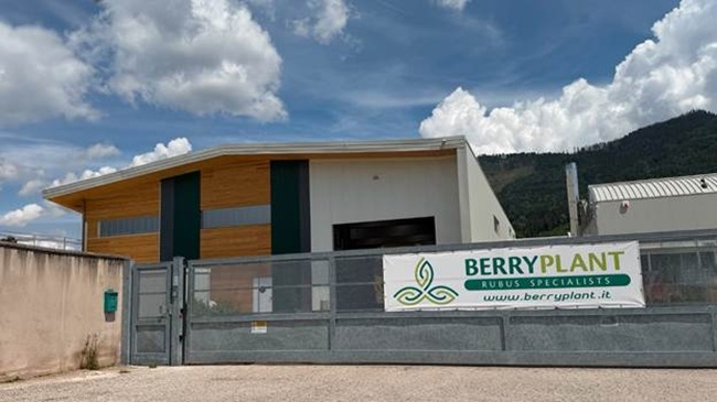 Fall Creek avanza más allá de los arándanos con la adquisición de Berryplant y Berrytech 3 Fall Creek avanza más allá de los arándanos con la adquisición de Berryplant y Berrytech