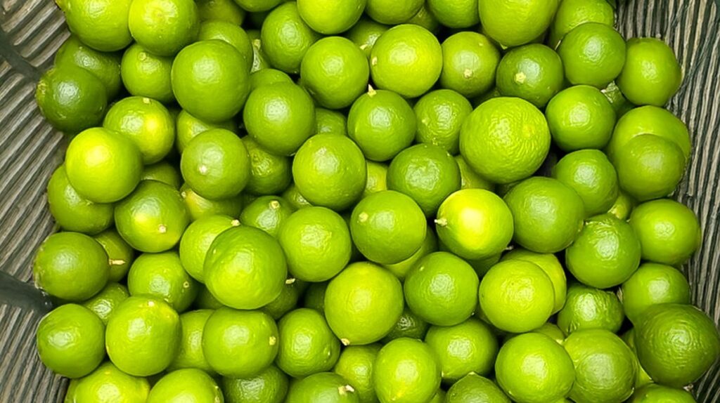 Productores de limón de Tumbes comercializan 16 toneladas a la agroindustria para exportación