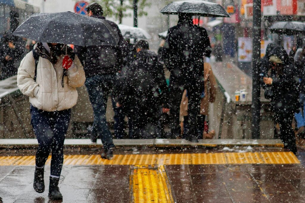 Lluvias y heladas marcarán la semana en la zona central de Chile: experto advierte efectos en cultivos hortícolas