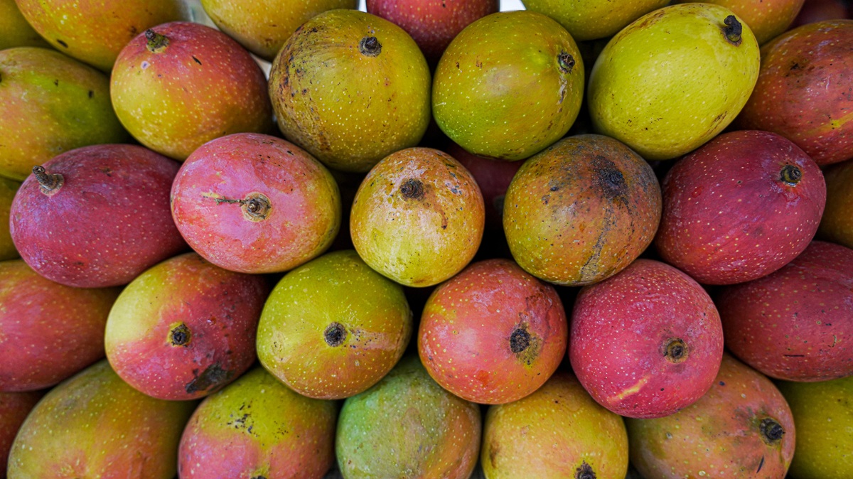 Japón suspende importaciones de mango de India tras 20 años de relación comercial