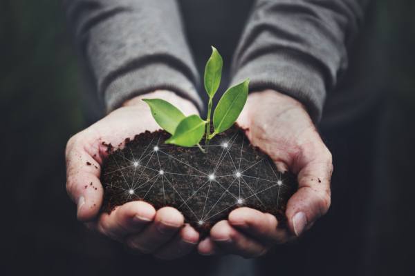 Agricultura 4.0: cómo la innovación impulsa la evolución de la cadena mundial de suministro de alimentos