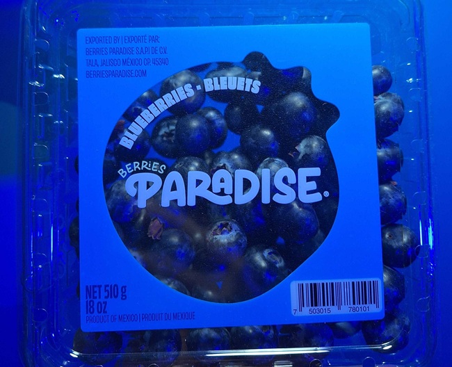 Berries Paradise renueva su identidad para evolucionar sin perder sus raíces 3 Berries Paradise renueva su identidad para evolucionar sin perder sus raíces