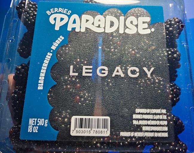 Berries Paradise renueva su identidad para evolucionar sin perder sus raíces 2 Berries Paradise renueva su identidad para evolucionar sin perder sus raíces