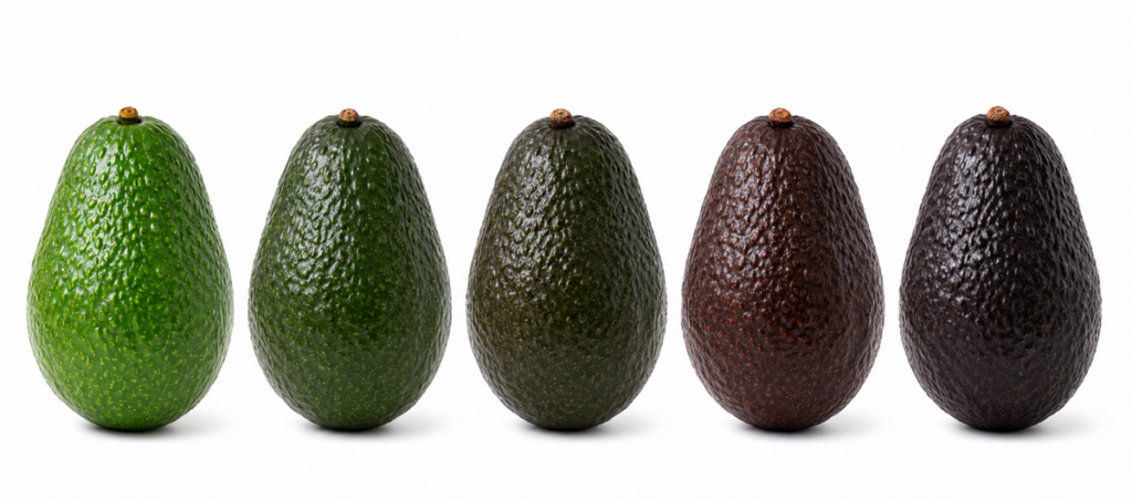 Catalytic Generators apoya la tendencia de los aguacates listos para consumir mediante una aplicación fiable de etileno