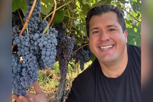 El calor de marzo adelanta el color de las uvas de mesa de Sunny Cal Farms, pero el dulzor aún está en desarrollo