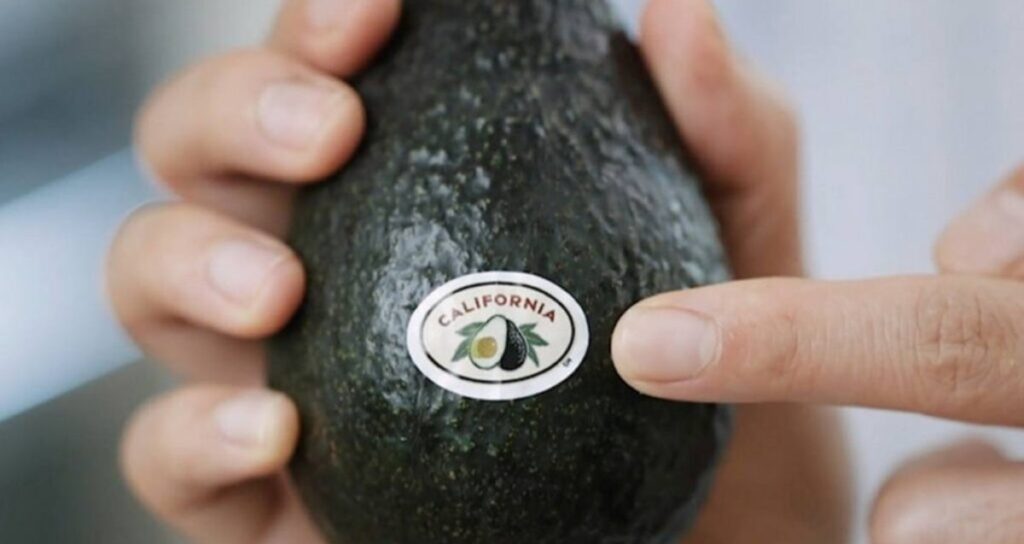 Productores de aguacate de California piden limitar importaciones de México en medio de negociaciones comerciales del T-MEC