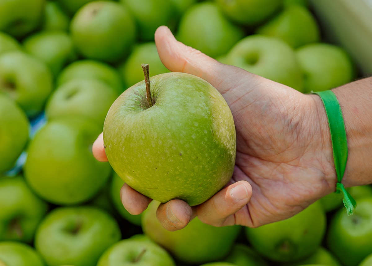 Copefrut apuesta por etiqueta compostable de Sinclair para reducir el packaging de un solo uso