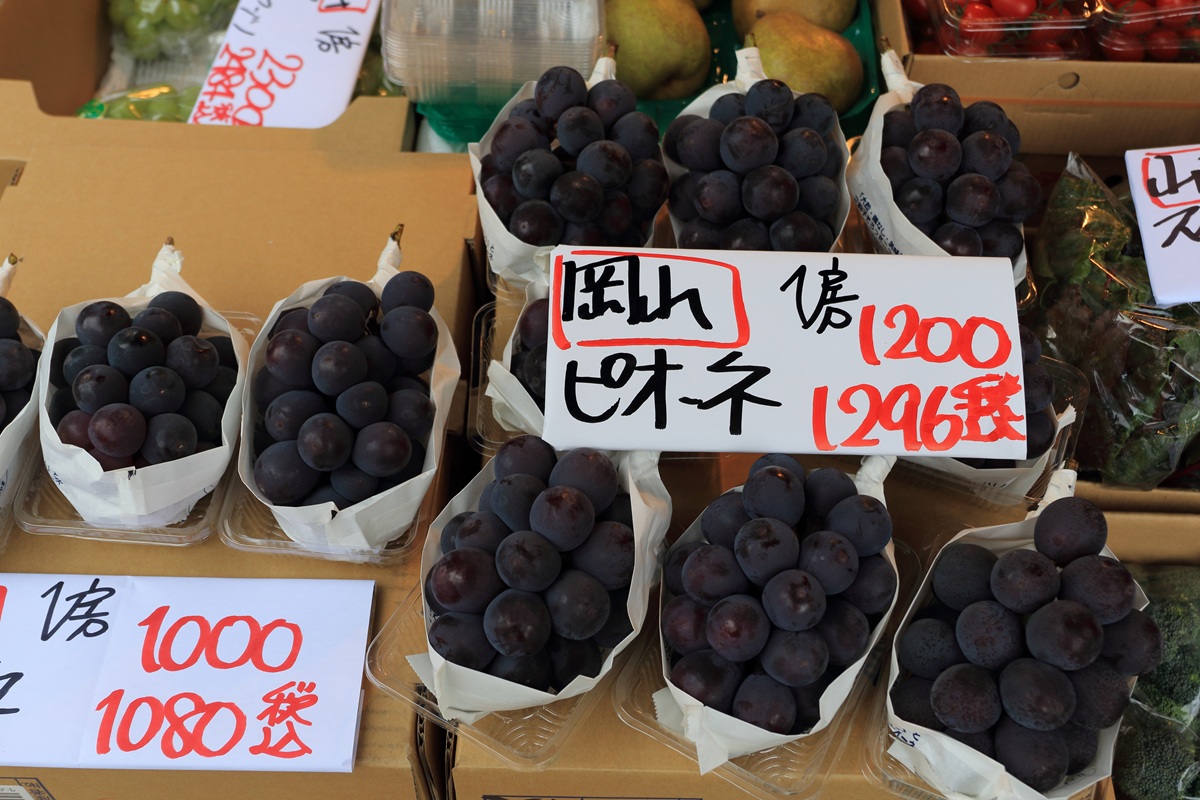 Japón facilita el acceso a su mercado para exportadores de frutas y hortalizas