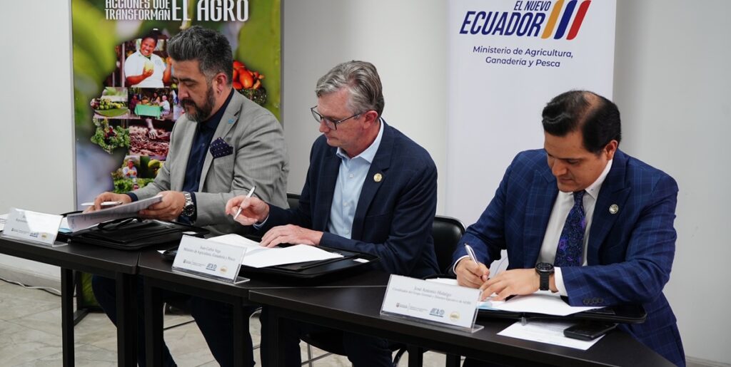 Ecuador fortalece su industria bananera con alianza entre el MAGP, IICA y el Clúster Bananero y Platanero