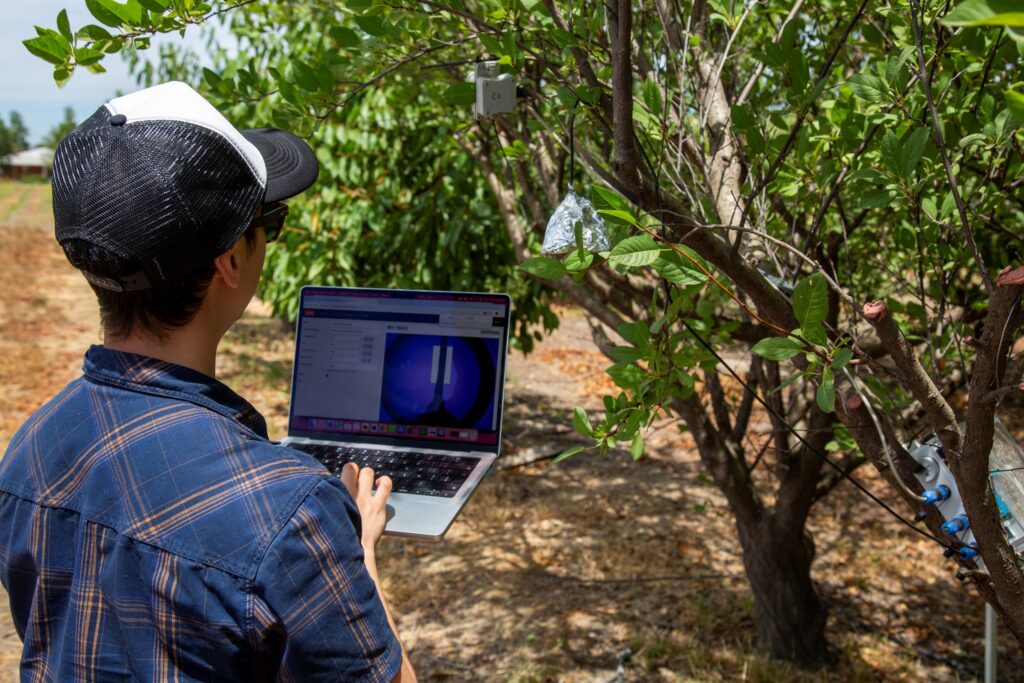 Tecnología de precisión permite ahorrar agua sin afectar la productividad de los frutales