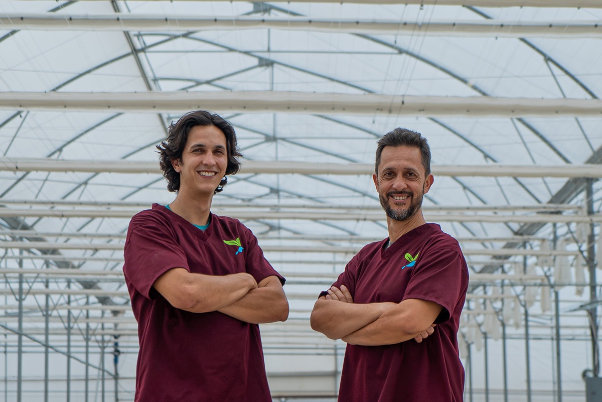 ValkPoly+ no es un gasto, es una inversión 3 ValkPoly+ no es un gasto, es una inversión