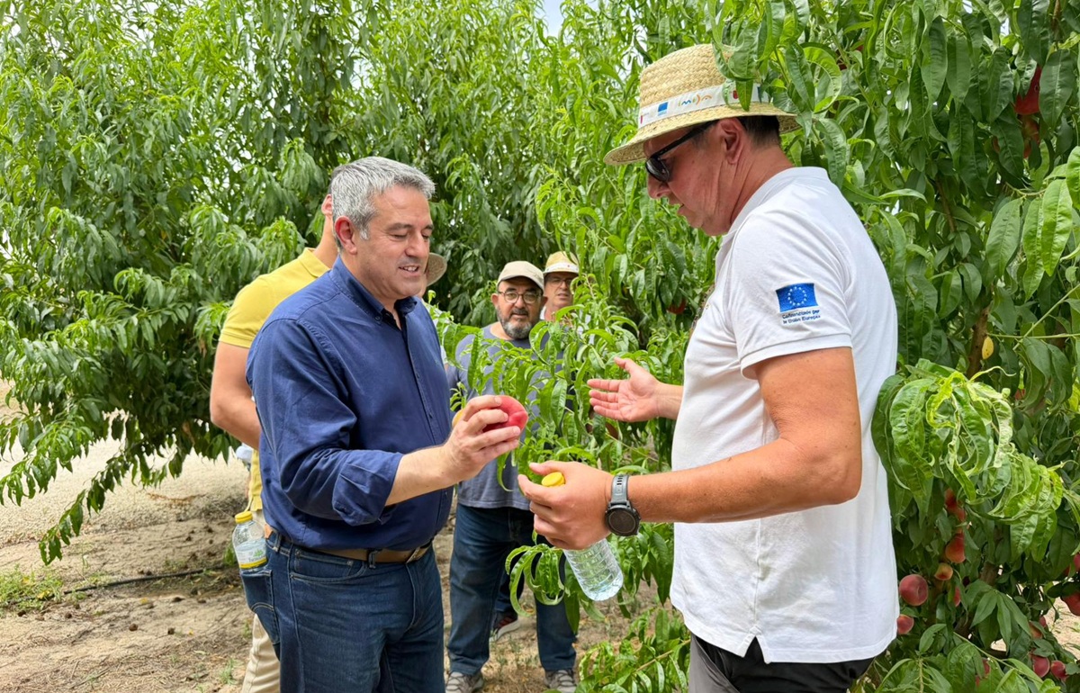 IMIDA desarrolla dos nuevas variedades de melocotón para fortalecer la competitividad del sector frutícola de Murcia 2 IMIDA desarrolla dos nuevas variedades de melocotón para fortalecer la competitividad del sector frutícola