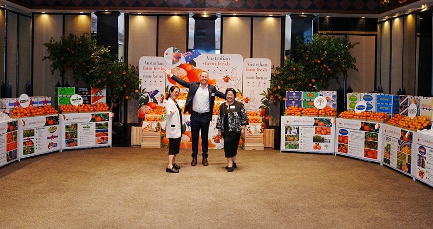 Mandarinas de Queensland regresan a Tailandia con el lanzamiento oficial de la temporada 2026 3 Mandarinas de Queensland regresan a Tailandia con el lanzamiento oficial de la temporada 2026