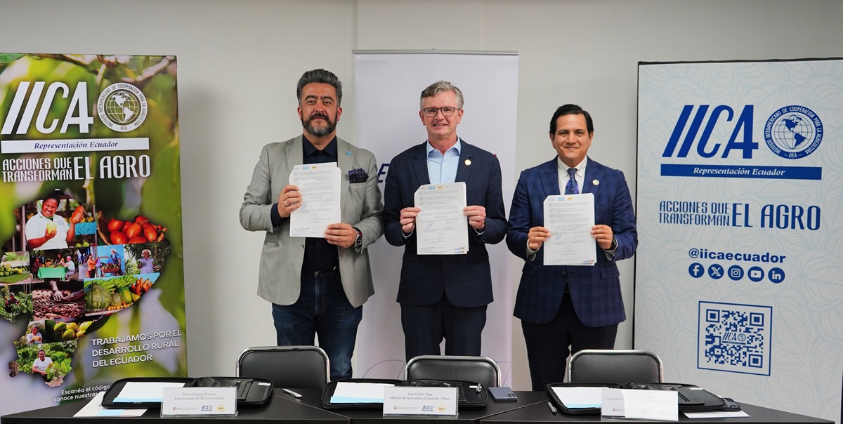 Ecuador fortalece su industria bananera con alianza entre el MAGP, IICA y el Clúster Bananero y Platanero 2 Ecuador fortalece su industria bananera con alianza entre el MAGP, IICA y el Clúster Bananero y Platanero