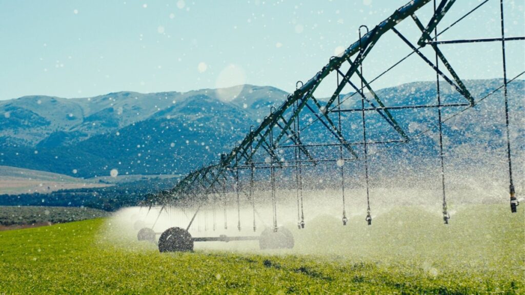 Komet Irrigation invierte en ingeniería y análisis de datos para optimizar el riego agrícola
