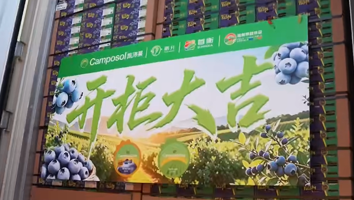 Camposol presenta nueva identidad para sus arándanos en China al inicio de la temporada 2026/27 2 Camposol presenta nueva identidad para sus arándanos en China