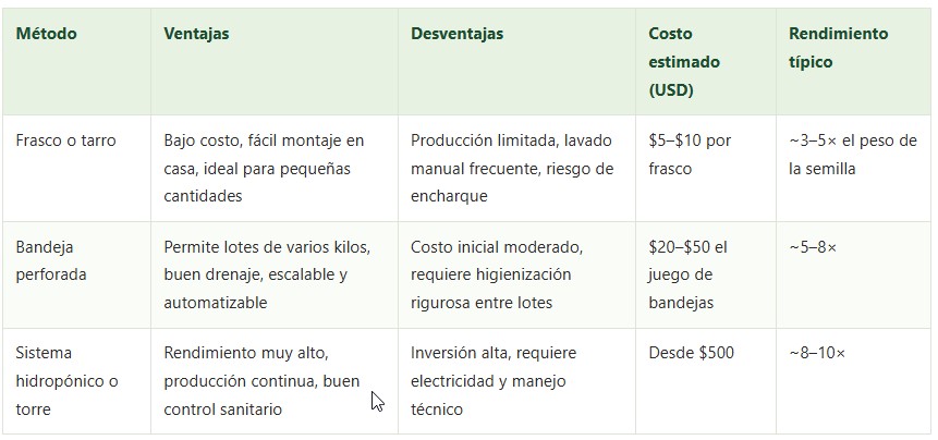 diente de dragón
