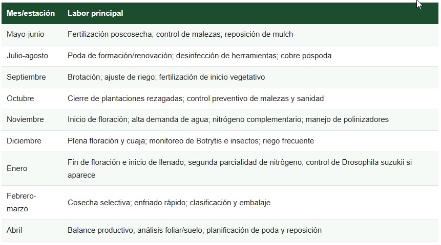 cultivo de la murtilla