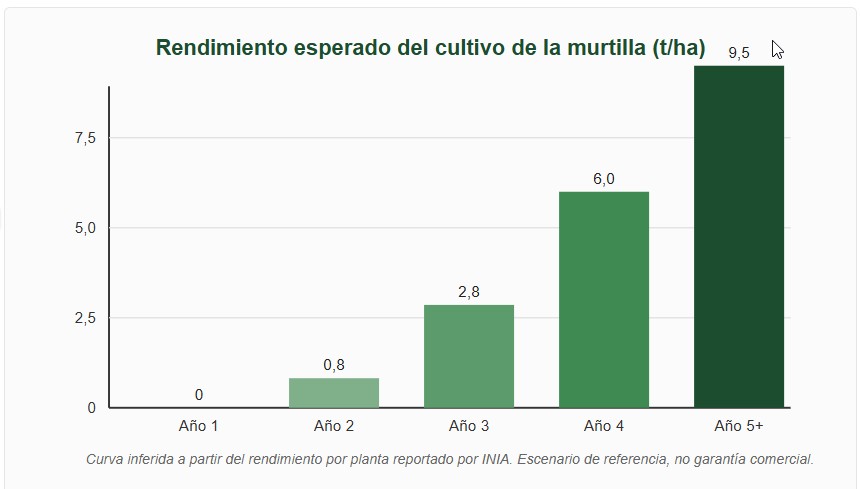 cultivo de la murtilla