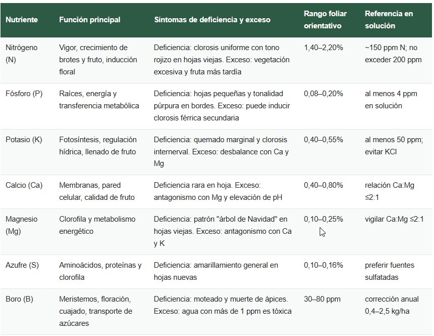 fertilización de arándanos