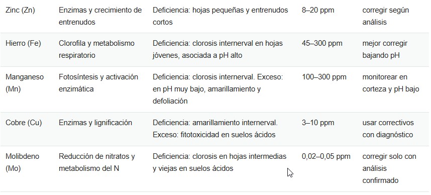 fertilización de arándanos