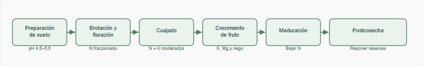 fertilización de arándanos