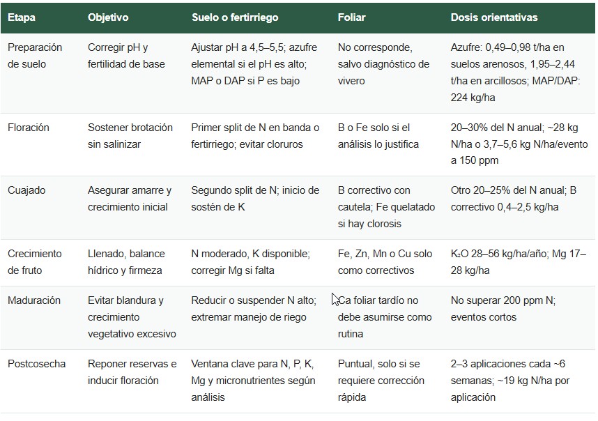 fertilización de arándanos