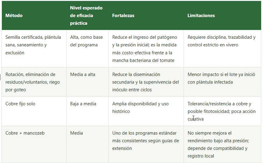 mancha bacteriana