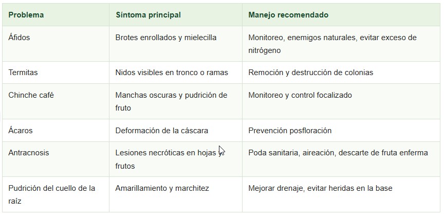 achacha