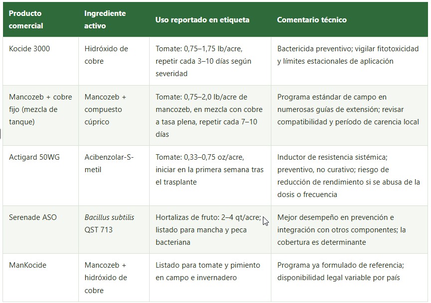 mancha bacteriana
