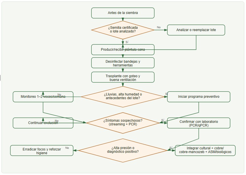 mancha bacteriana