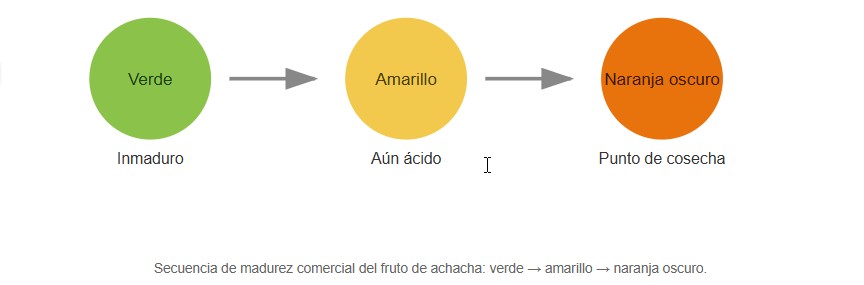 achacha
