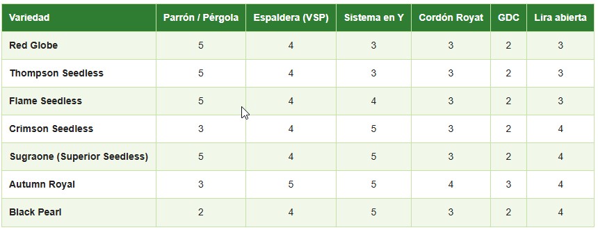 parronales de uva