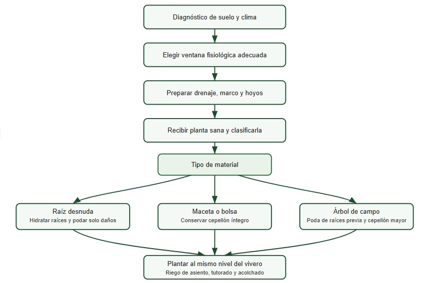 trasplante de frutales