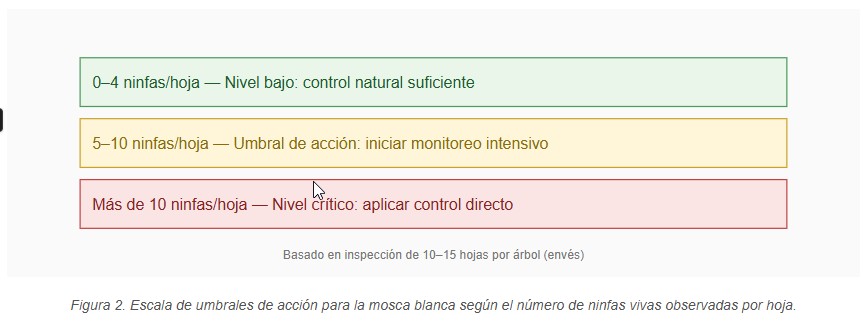 mosca blanca